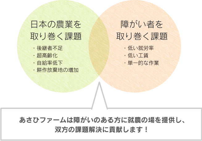 あさひファームは障碍のある方に就農の場を提供し、双方の課題解決に貢献します！