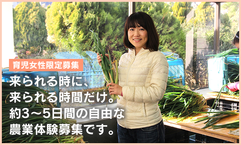 「育児女性限定募集中」来られるときに、来られる時間だけ。約3~5日間だけ。約3~5日間の自由な農業体験募集です。